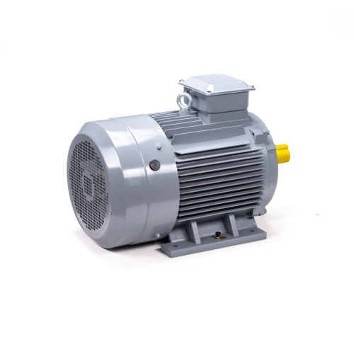 Эл.двигатель ESQ PR 200 L6 GST-Б1-S12-IE2 30/1000 IM 1001 фото 5
