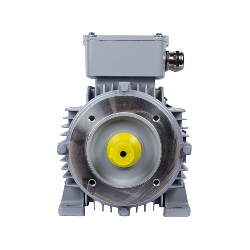 Эл.двигатель ESQ PR 100 LB4-SDN-Б1-S12-IE3 3/1500 IM B34