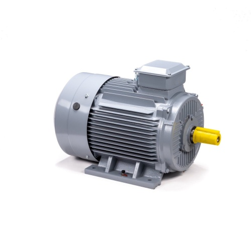Эл.двигатель ESQ PR 200 L6 GST-Б1-S12-IE2 30/1000 IM 1001 фото 3