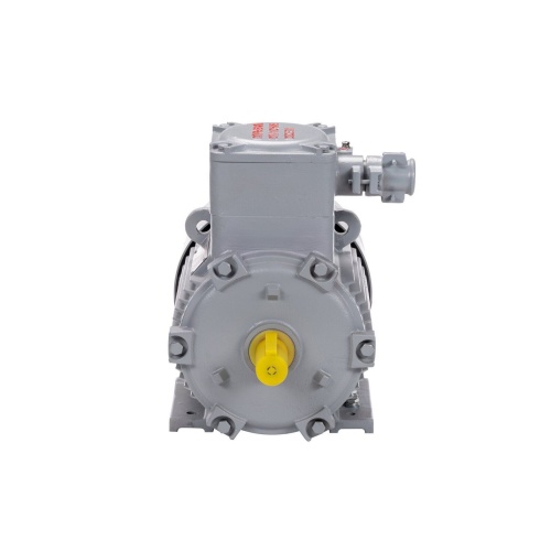 Эл.двигатель АИМУ 100 L2 У1, 380В, 1ExdIIBT4 Gb, 5.5/3000  IM 1081