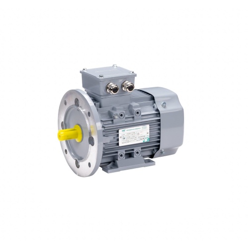 Эл.двигатель ESQ PR 180 M2-SDN-Б1-S12-IE2 22/3000 IM B35 фото 11