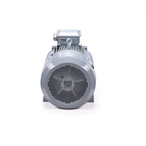 Эл.двигатель ESQ PR 200 L6 GST-Б1-S12-IE2 30/1000 IM 1001 фото 7