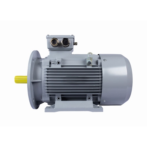 Эл.двигатель ESQ PR 132 SA2-SDN-Б1-S12-IE3 5.5/3000 IM B35