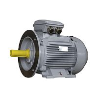 Эл.двигатель ESQ PR 160 L4-SDN-Б1-S12-IE3 15/1500 IM B35