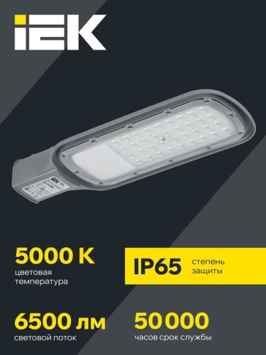 Светильник светодиодный ДКУ 1012-50Ш 5000К IP65 уличный консольный сер. IEK LDKU1-1012-050-5000-K03 фото 2