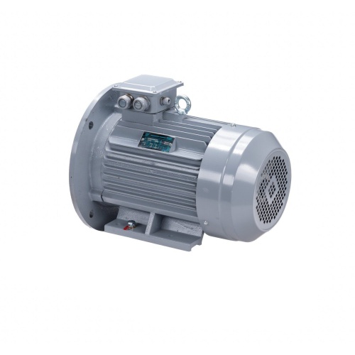 Эл.двигатель ESQ PR 180 S2 GST-Б1-S12-IE2 22/3000 IM 2001 фото 9