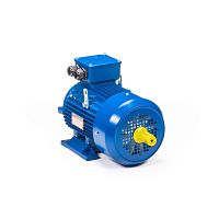 Эл.двигатель 5АИ 160 S4 15/1500 IM 1002