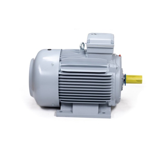 Эл.двигатель ESQ PR 180 L4-SDN-Б1-S12-IE3 22/1500 IM B3 фото 4