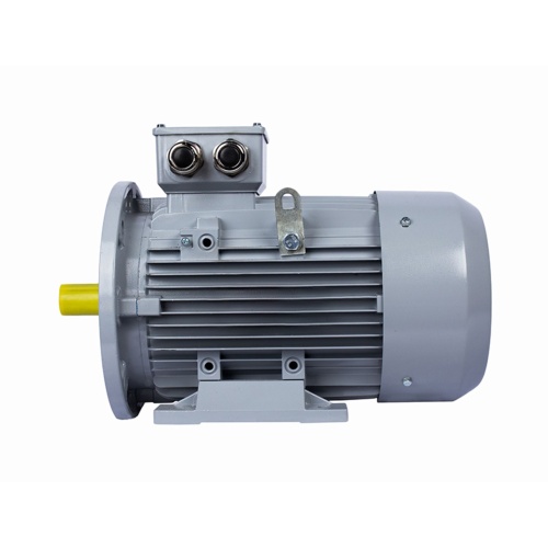 Эл.двигатель ESQ PR 100 LB4-SDN-Б1-S12-IE3 3/1500 IM B35 фото 4
