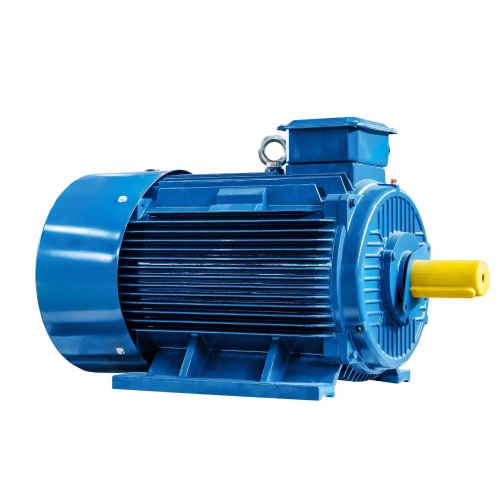 Эл.двигатель 5АИ 315 S6 110/1000 IM 1001