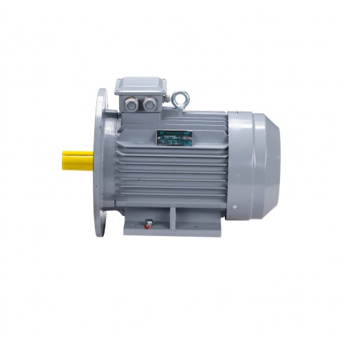 Эл.двигатель ESQ PR 180 S2 GST-Б1-S12-IE2 22/3000 IM 2001 фото 10