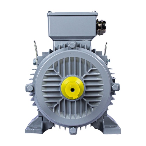 Эл.двигатель ESQ PR 160 L4-SDN-Б1-S12-IE2 15/1500 IM B3 фото 3