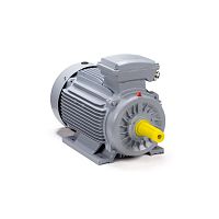 Эл.двигатель ESQ PR 160 M6 GST-Б1-S12-IE2 15/1000 IM 2001