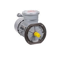 Эл.двигатель АИМУР 250 LB4 У2,5 660/1140В, кл изоляции Н, РВЕхdbI Mb X, РТС (статор), два силовых каб. ввода, подшипники SKF, 110/1500  IM 4001