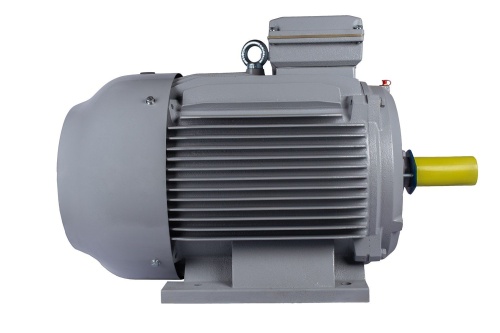 Эл.двигатель ESQ PR 280 S4-SDN-Б1-S12-IE2 75/1500 IM B3 фото 3