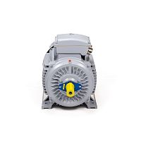 Эл.двигатель ESQ PR 200 LA2-SDN-Б1-S12-IE3 30/3000 IM B3