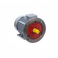 Эл.двигатель ESQ PR 132 M4 GST-Б1-S12-IE2 11/1500 IM 2081
