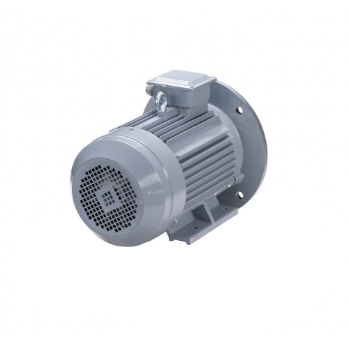 Эл.двигатель ESQ PR 100 L4 GST-Б1-S12-IE2 4/1500 IM 2081 фото 6