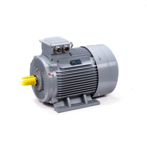 Эл.двигатель ESQ PR 200 L6 GST-Б1-S12-IE2 30/1000 IM 1001 фото 11