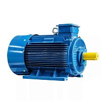 Эл.двигатель 5АИ 355 LC4 450/1500 IM 1001