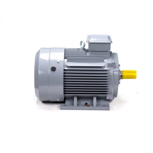 Эл.двигатель ESQ PR 200 L6 GST-Б1-S12-IE2 30/1000 IM 1001 фото 4