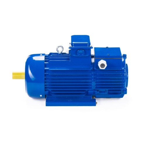 Эл.двигатель 5МТН 280 S6 75/955  IM 1003 фото 10