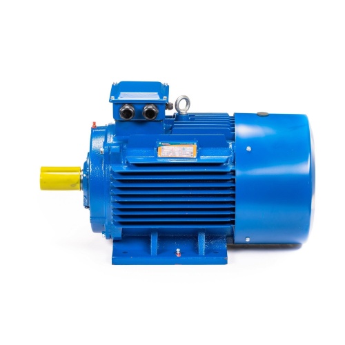 Эл.двигатель 5АИ 200 L6 30/1000 IM 1001 фото 10