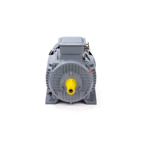 Эл.двигатель ESQ PR 160 S4 GST-Б1-S12-IE2 15/1500 IM 2001 фото 3