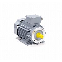 Эл.двигатель ESQ PR 90 LA4-SDN-Б1-S12-IE3 1.5/1500 IM B34