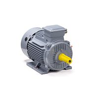 Эл.двигатель ESQ PR 160 S4 GST-Б1-S12-IE2 15/1500 IM 2001
