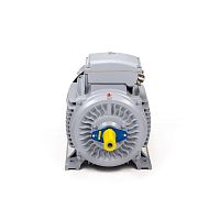 Эл.двигатель ESQ PR 315 S4-SDN-Б1-S32-IE2 110/1500 IM B3