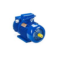 Эл.двигатель 5МТН 200 LB8 22/750  IM 1003