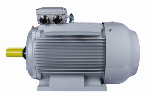 Эл.двигатель ESQ PR 315 LA6-SDN-Б1-S12-IE2 110/1000 IM B3