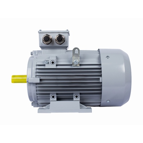 Эл.двигатель ESQ PR 160 L4-SDN-Б1-S12-IE2 15/1500 IM B3 фото 4