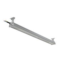Светильник светодиодный ДСП WP 24 C 120W VW 840 L1200 SI CL 1280х100х85мм 120Вт 4000К IP66 пылевлагозащ. Русский Свет 27072423920