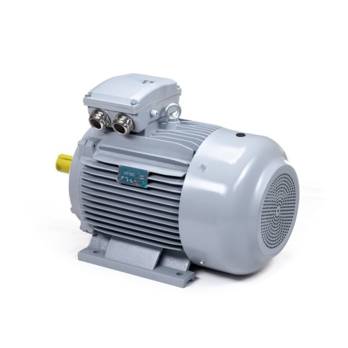 Эл.двигатель ESQ PR 180 L4-SDN-Б1-S12-IE3 22/1500 IM B3 фото 7
