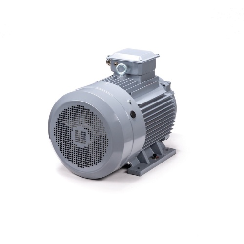 Эл.двигатель ESQ PR 200 L6 GST-Б1-S12-IE2 30/1000 IM 1001 фото 6
