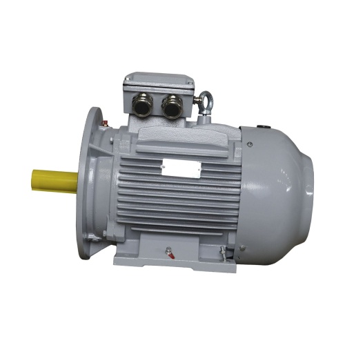 Эл.двигатель ESQ PR 160 M4-SDN-Б1-S12-IE3 11/1500 IM B35 фото 6