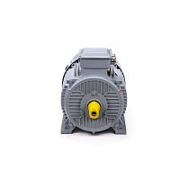Эл.двигатель ESQ PR 250 M4 GST-Б1-S12-IE2 90/1500 IM 1001