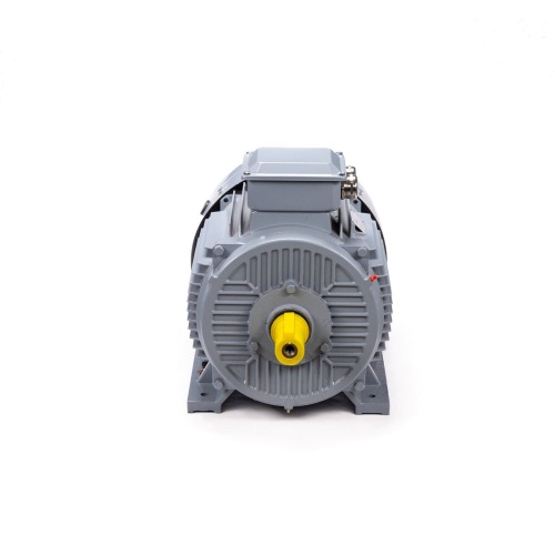Эл.двигатель ESQ PR 200 L6 GST-Б1-S12-IE2 30/1000 IM 1001