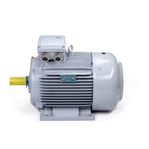 Эл.двигатель ESQ PR 180 L4-SDN-Б1-S12-IE3 22/1500 IM B3 фото 8