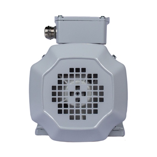 Эл.двигатель ESQ PR 100 LB4-SDN-Б1-S12-IE3 3/1500 IM B34 фото 4