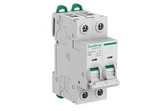 Выключатель автоматический 2п C 20А 6кА Systeme9 400В SE S9F22220
