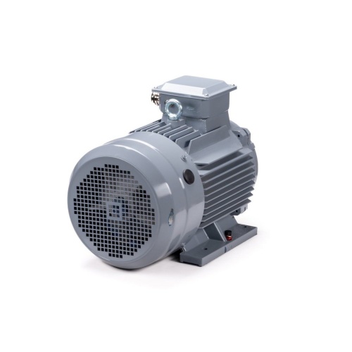 Эл.двигатель ESQ PR 160 S4 GST-Б1-S12-IE2 15/1500 IM 2001 фото 6