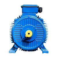 Эл.двигатель 5АИ 355 MLB4 400/1500 IM 1001