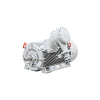 Эл.двигатель ДАЗО4 450 Y4 У1 6000В IP54 800/1500  IM 1001