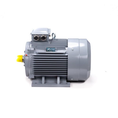 Эл.двигатель ESQ PR 200 L6 GST-Б1-S12-IE2 30/1000 IM 1001 фото 10