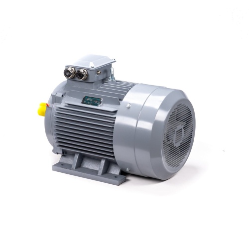 Эл.двигатель ESQ PR 200 L6 GST-Б1-S12-IE2 30/1000 IM 1001 фото 8