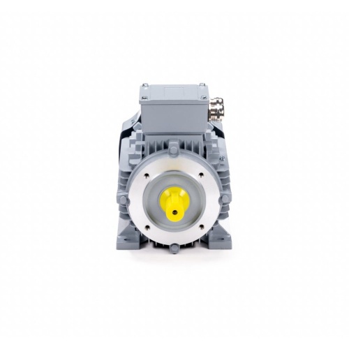 Эл.двигатель ESQ PR 80 A4-SDN-Б1-S12-IE2 0.55/1500 IM B34 фото 3