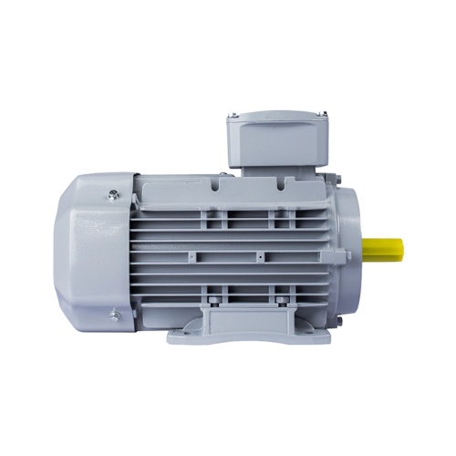 Эл.двигатель ESQ PR 100 LB4-SDN-Б1-S12-IE3 3/1500 IM B34 фото 3